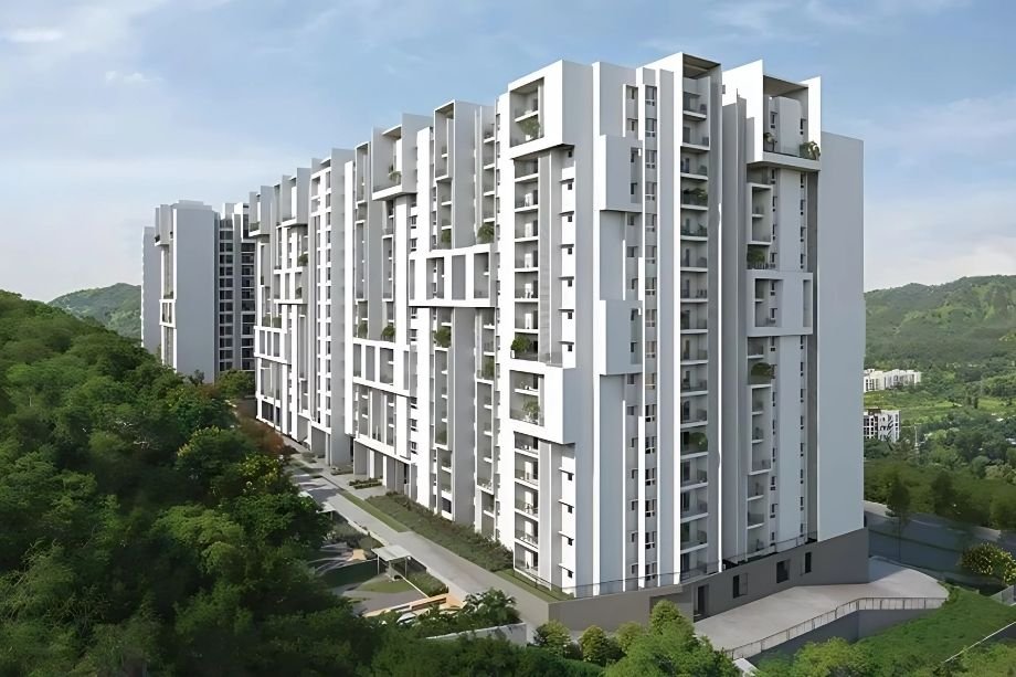 Rohan-Saroha-About-Us